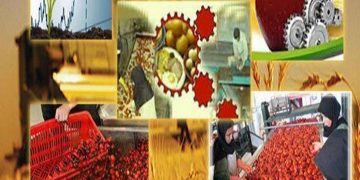 مذاکره با وزارت دفاع برای ایجاد ارزش افزوده در زعفران پس از گلایه مقام معظم رهبری از خام فروشی