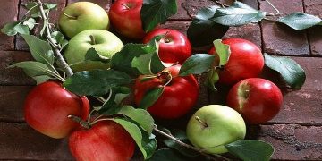 امسال خرید سیب درختی در ۵۲ مرکز آذربایجان غربی انجام می شود