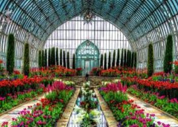 ایران جزو کشورهای پیشرو در تولید گلخانه‌ای/ سطح کشت به 60 هزار هکتار می رسد