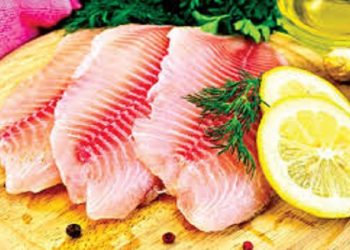 تولید ۵۵۰هزارتن ماهی تیلاپیا در سال گذشته