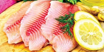 تولید ۵۵۰هزارتن ماهی تیلاپیا در سال گذشته