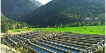 تحویل حجمی آب به کشاورزان در کارگروه ملی سازگاری باکم آبی تصویب شد