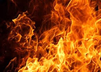 جزئیات کامل آتش ‌سوزی در کارخانه لبنیات میهن