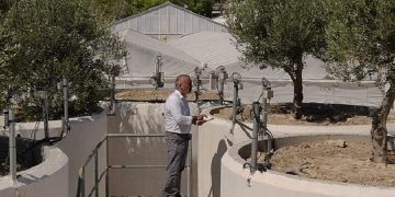 یونان؛ هوش مصنوعی در خدمت بهینه سازی استفاده از آب در باغات زیتون