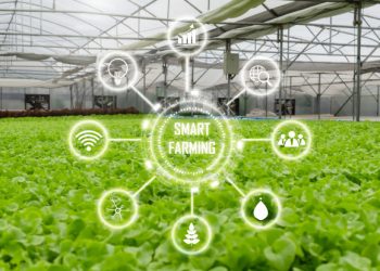 سوق یافتن سرمایه‌های میلیاردی یزد به سمت کشاورزی نوین