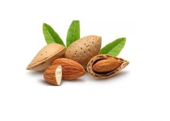 رونق اقتصادی بادام با راه‌اندازی شهرک تخصصی