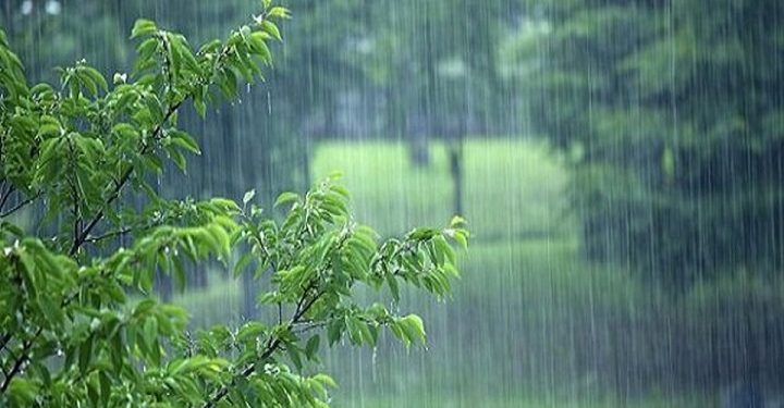 بارش‌های امسال 29 درصد بیش از متوسط 50 سال اخیر شد/باد شدید و گرد و خاک در شرق کشور تا 5 روز آینده