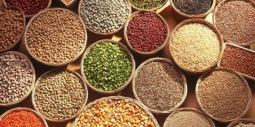 برای تولید بذر سبزی و صیفی در شرایط تحریم آماده نبودیم/ وارداتچی‌ها اجازه تولید داخل نمی دادند