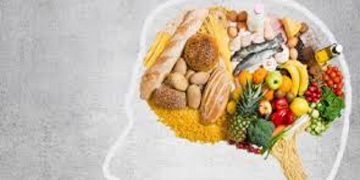 چند پیشنهاد تغذیه‌ای برای پیشگیری از آلزایمر