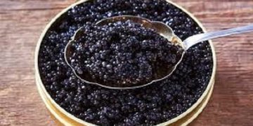 خاویار ایران در چه وضعیتی است؟