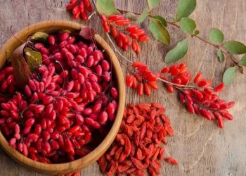 آغاز پرداخت تسهیلات قرضالحسنه به زرشککاران/ انبار ۷ هزار تن زرشک، جای نگرانی ندارد/ سهم ۱.۵ درصدی صادرات از تولید کشور