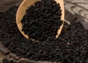 نتایج یک پژوهش نشان داد: تاثیر مصرف زیره سیاه بر بیماران دیابتی