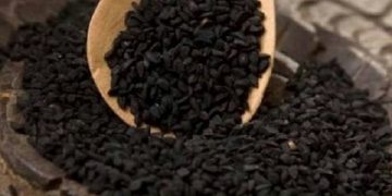 نتایج یک پژوهش نشان داد: تاثیر مصرف زیره سیاه بر بیماران دیابتی