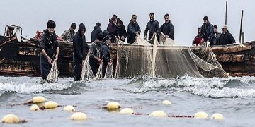 نتایج یک مطالعه نشان داد؛ کاهش صید غیر مجاز با آگاهی‌بخشی به صیادان