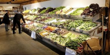 گزارش ماهانه فائو نشان داد تداوم روند افزایش قیمت جهانی مواد غذایی