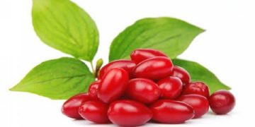 تاثیر زغال‌اخته و امگا۳ بر “هلیکوباکترپیلوری”