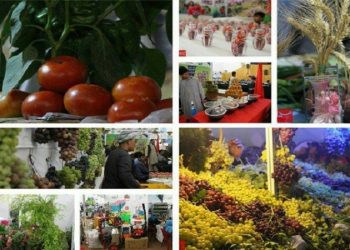 ممنوعیت واردات ۲۹ محصول کشاورزی به عراق چه تاثیری بر صادرات ایران دارد؟