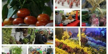 ممنوعیت واردات ۲۹ محصول کشاورزی به عراق چه تاثیری بر صادرات ایران دارد؟