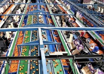 سهم ۷۷ درصدی گروه صنعت، کشاورزی و صنایع غذایی در کالاهای هدف صادراتی