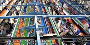 سهم ۷۷ درصدی گروه صنعت، کشاورزی و صنایع غذایی در کالاهای هدف صادراتی