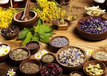 ۵۰هزار هکتار اراضی کشور زیر کشت گیاهان دارویی می‌رود