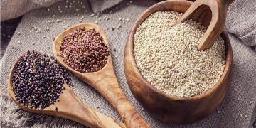 کینوا ،کشت جایگزینی که در فارس خوش درخشید