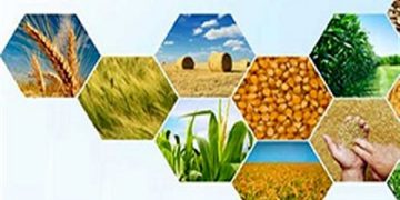 آغاز به کار رسمی اتاق اصناف کشاورزی ایران بعد از حدود ۲ سال تاخیر + تصویر نامه