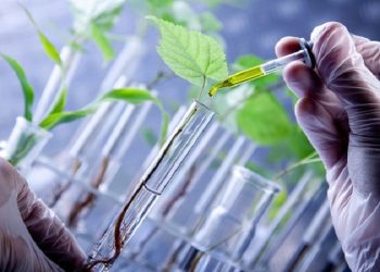 اینجا بذر ثروت تولید می شود!