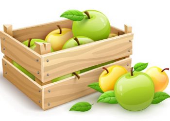 افزایش قیمت مواد اولیه از نرخ ارز پیشی گرفت