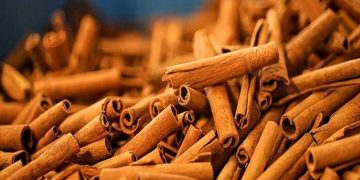انواع دارچین که احتمالا اسمشان را هم نشنیده‌اید + خواص و مضرات