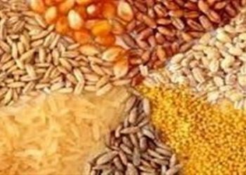 سرنخ کلاف آشفتگی نهاده‌های دامی در جیب دولت است