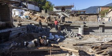 یک‌هزار و ۵۳ واحد دامی مناطق زلزله‌زده میانه و سراب آماده بهره‌برداری است