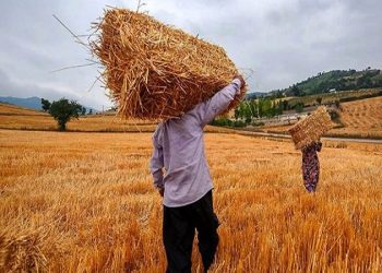 22 طرح صنایع تبدیلی در کرمانشاه به بهره‌برداری رسید/ ایجاد 850 فرصت شغلی جدید در حوزه کشاورزی