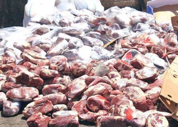 کشف ۳۰ تن گوشت منجمد فاسد در کهریزک/ دستگیری متصدی سردخانه و تحقیق پیرامون تخلف