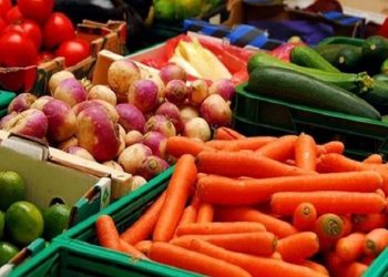 صادرات ۵۵۹ هزار تنی محصولات کشاورزی