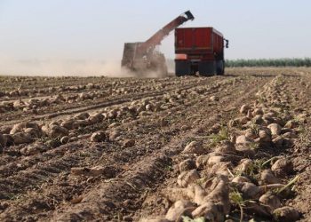 ۸۲ درصد مطالبه چغندرکاران در آذربایجان‌غربی پرداخت شد