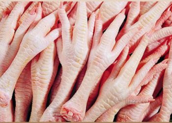 صادرات پای مرغ به سرزمین اژدهای زرد