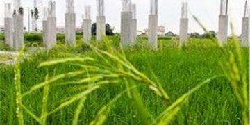 تاراج ارضی کشاورزی و ملی با تفسیر غلط از واژه “ضرورت”