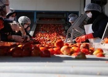راه‌اندازی اولین اورژانس محصولات کشاورزی توسط بنیاد برکت