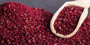 سماق گناباد چاشنی سفره‌های اروپایی/ جای خالی صنایع تبدیلی در پایتخت سماق ایران