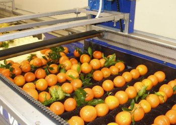 رتبه اول کشوری در حوزه صنایع تبدیلی از آن زنجان شد