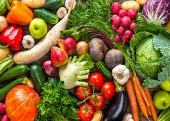 خودکفایی ۵۰ درصدی تولید بذر سبزی و صیفی گلخانه‌ای تا ۵ سال