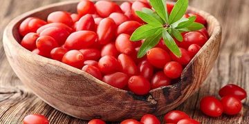 پیش‌بینی برداشت چهار تن گوجی‌بری در هشترود