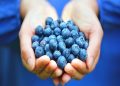 خواص شگفت انگیز بلوبری در بهبود سرطان دهانه رحم