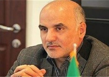 مسئولیت عمده فروشی مرغ بر عهده وزارت جهاد کشاورزی است