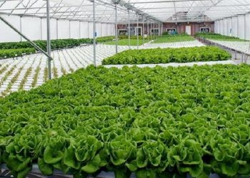 شهرک‌های کشاورزی در چهارمحال و بختیاری توسعه می‌یابد/ مکان‌یابی ۱۸منطقه