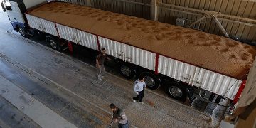 عملیات اجرایی پالایشگاه غلات در ناحیه صنعتی پارس آباد آغاز شد
