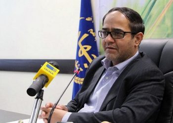 مدیرعامل شرکت پشتیبانی امور دام: مشکلی در تأمین نهاده‌های دامی تا پایان سال نداریم/ آغاز توزیع تخم ‌مرغ در تهران با قیمت مصوب از امروز