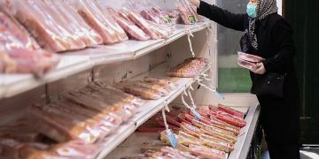 دست درازی به جیب مردم به بهانه بسته‌بندی/ بسته‌بندی تخم‌مرغ به نفع فروشگاه‌هاست نه مردم