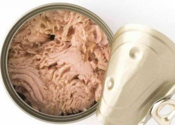 صنایع کنسروی کمبود حلبی ندارند، گرانی است/ ۷۵ درصد از ورق حلب وارداتی است